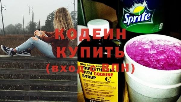 дурь Пересвет
