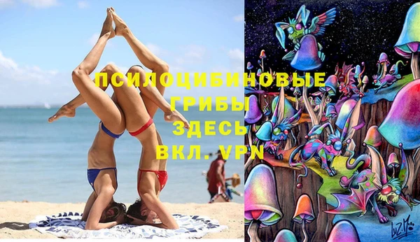 дурь Пересвет