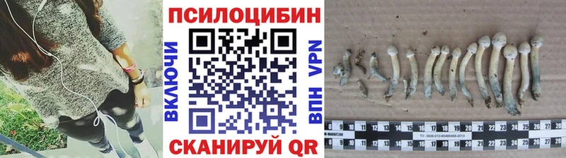 Псилоцибиновые грибы Magic Shrooms  Купить  Прохладный 